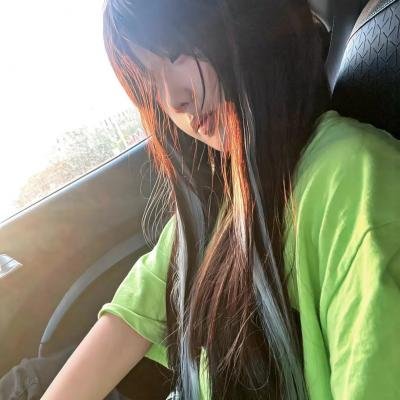 内战圣伯纳犬