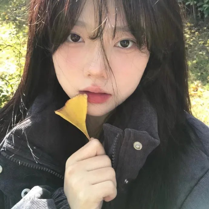 未曾走过的路